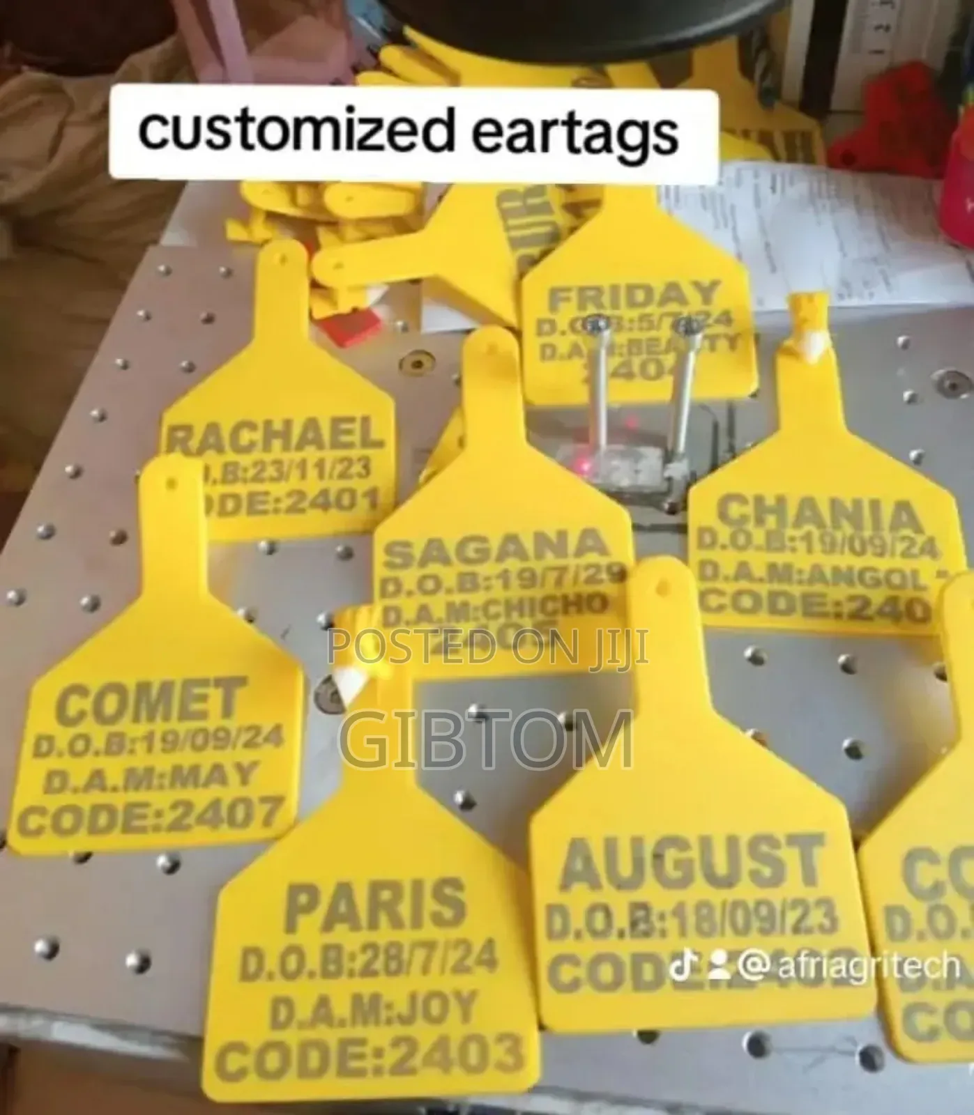 Z Eartag Applicator