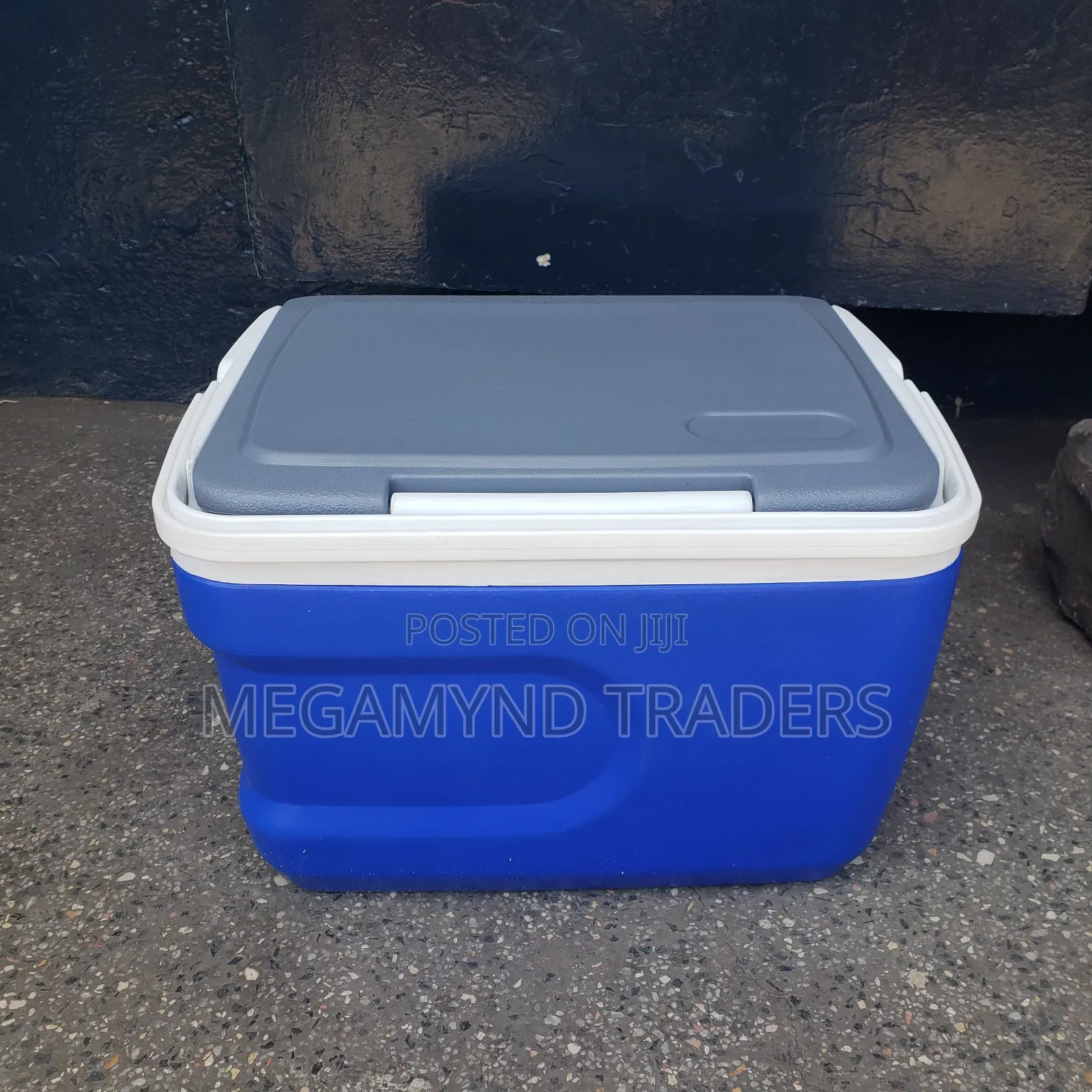 12 LTR Cooler Box / Ice Box