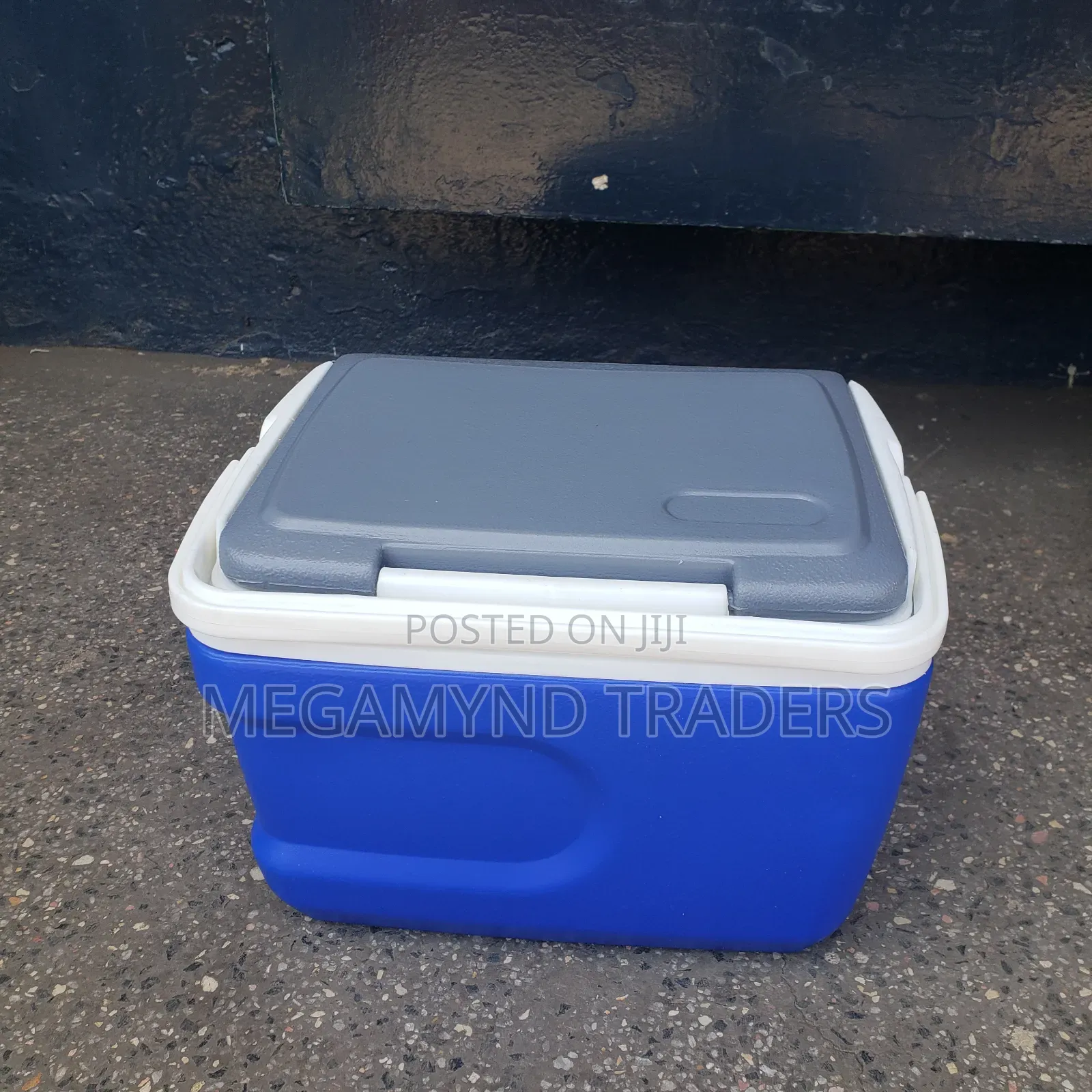 12 LTR Cooler Box / Ice Box