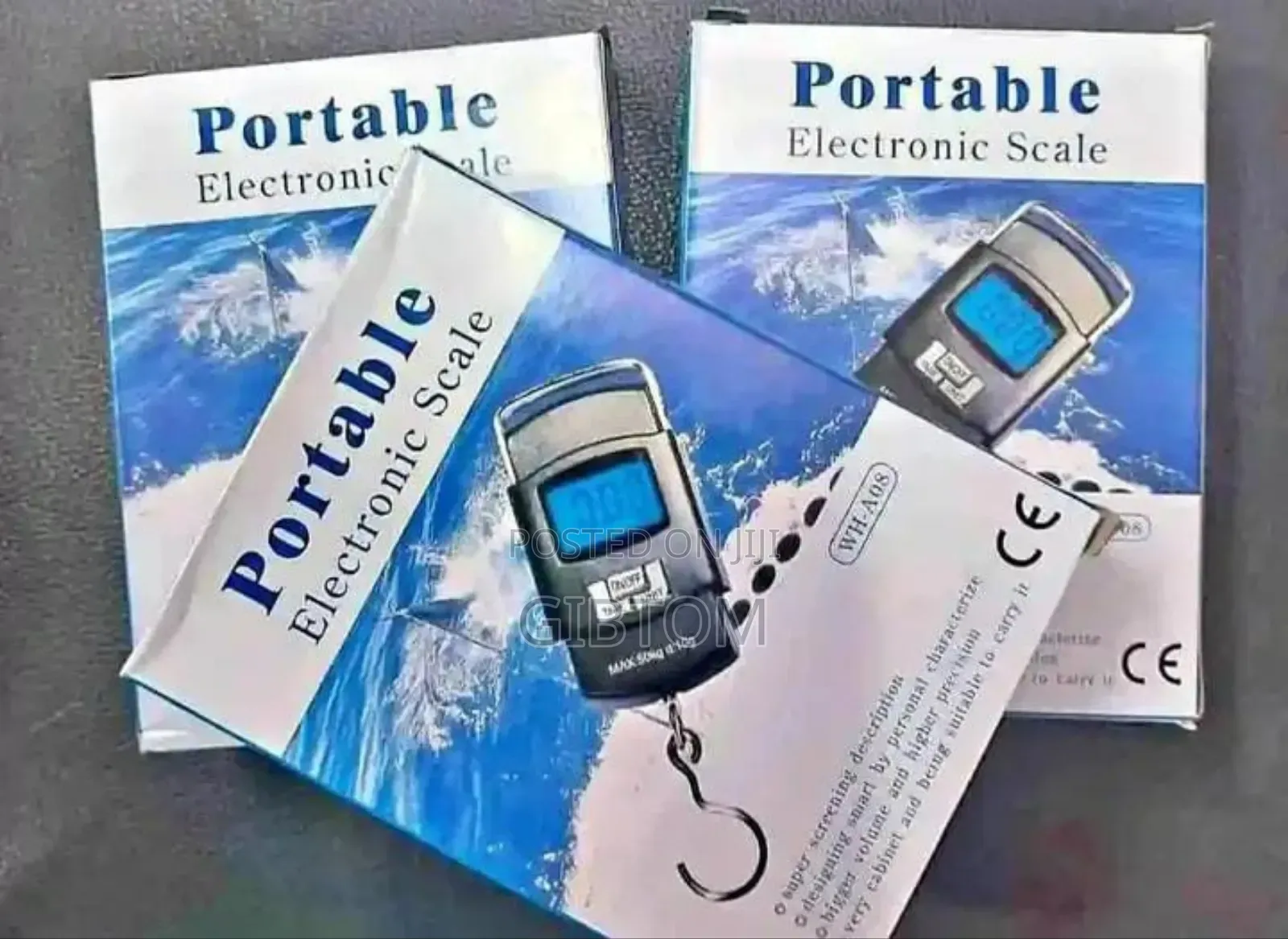 Portable Electronic Scale
