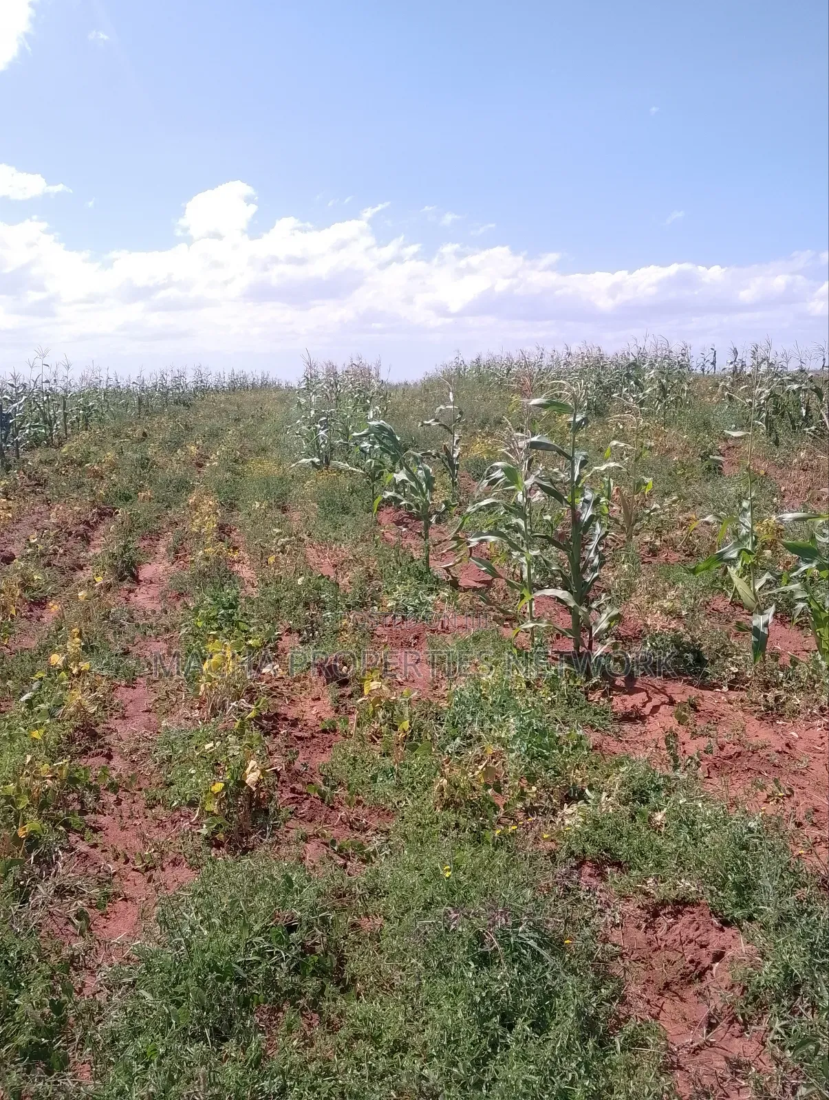 Konza 10 .08 Acres for Sale