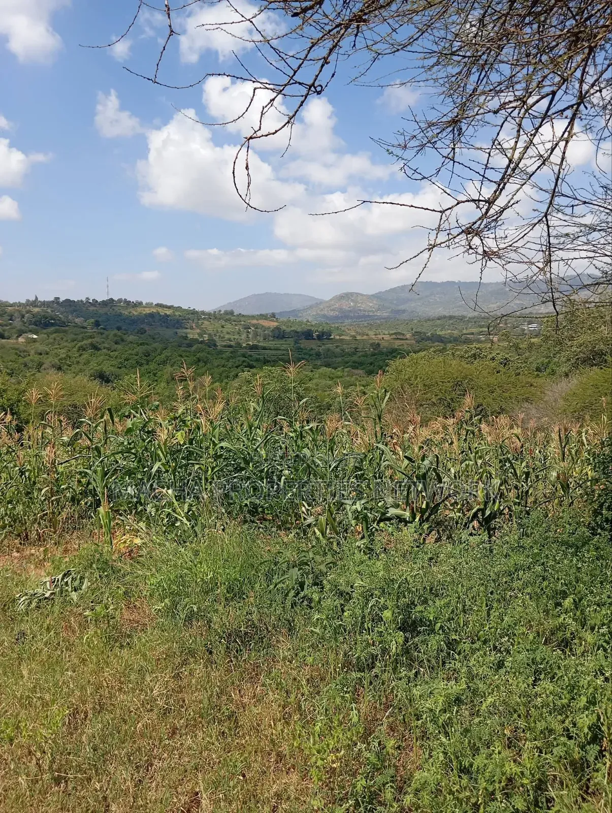 Kaani-MKS 11 Acres for Sale -Best for Farming.
