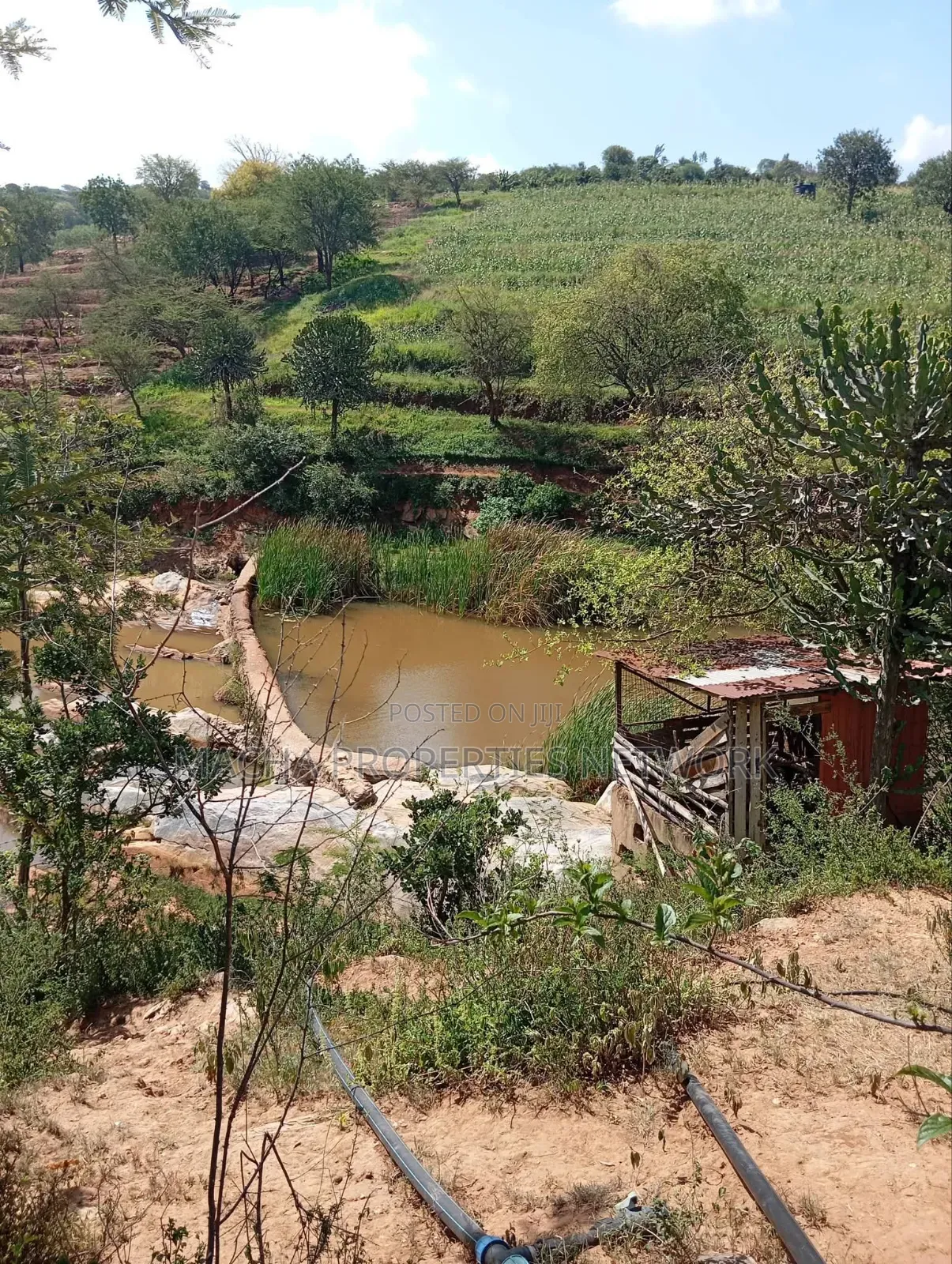 Kaani-MKS 11 Acres for Sale -Best for Farming.