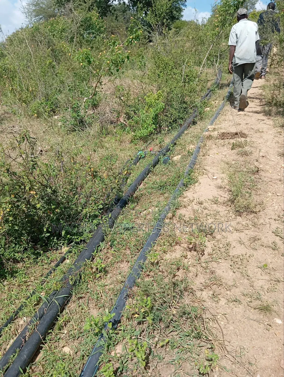 Kaani-MKS 11 Acres for Sale -Best for Farming.
