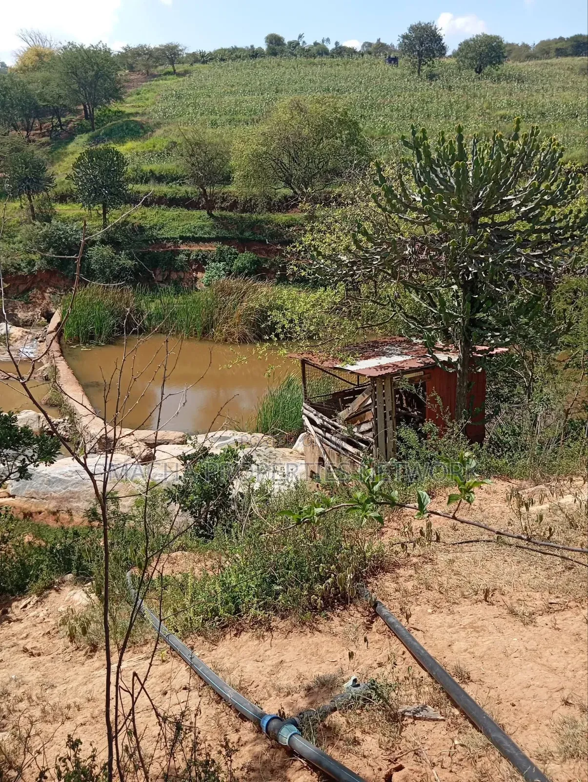Kaani-MKS 11 Acres for Sale -Best for Farming.