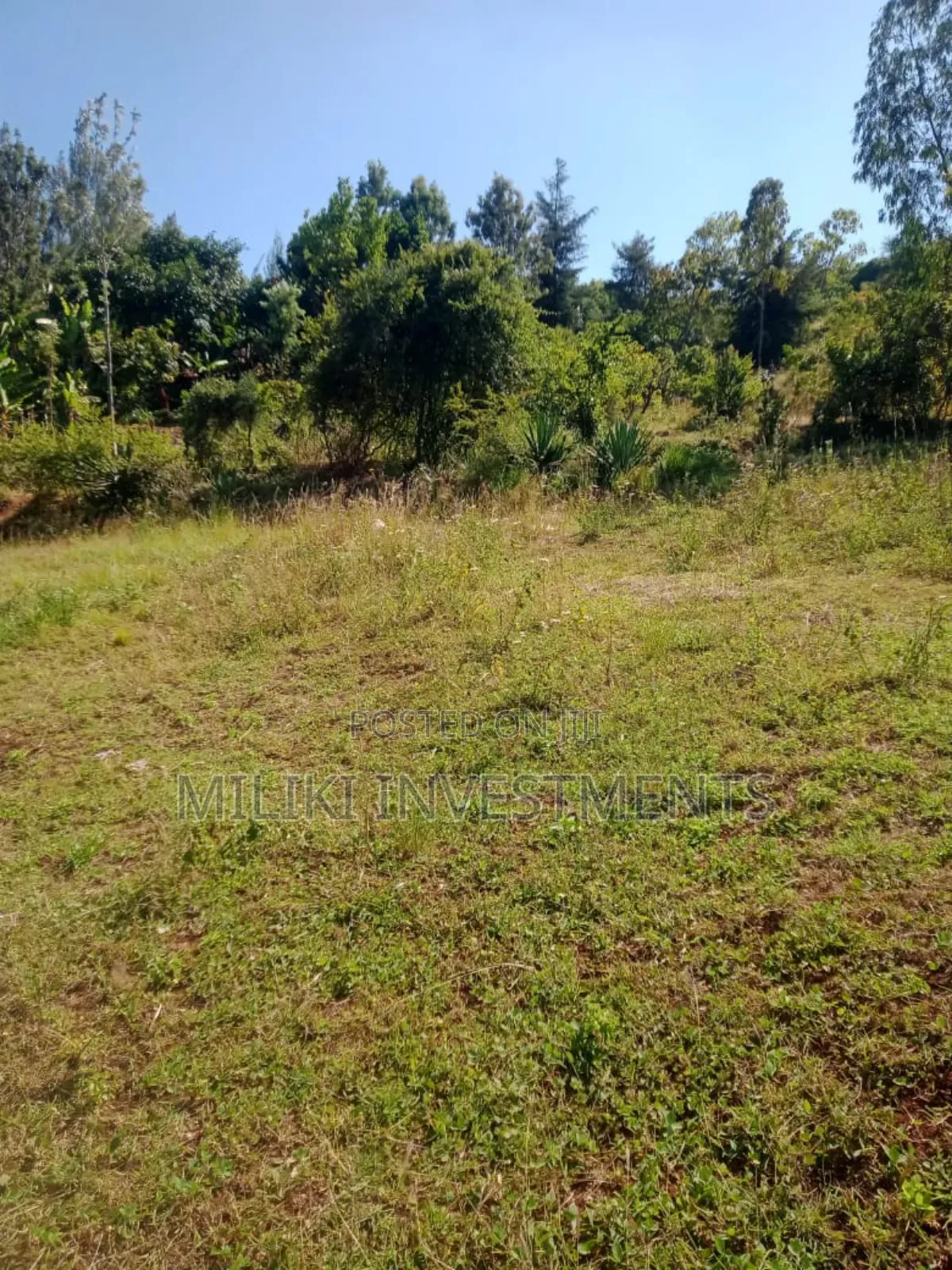 5.5 Acres on Sale at Kenol -Karugia