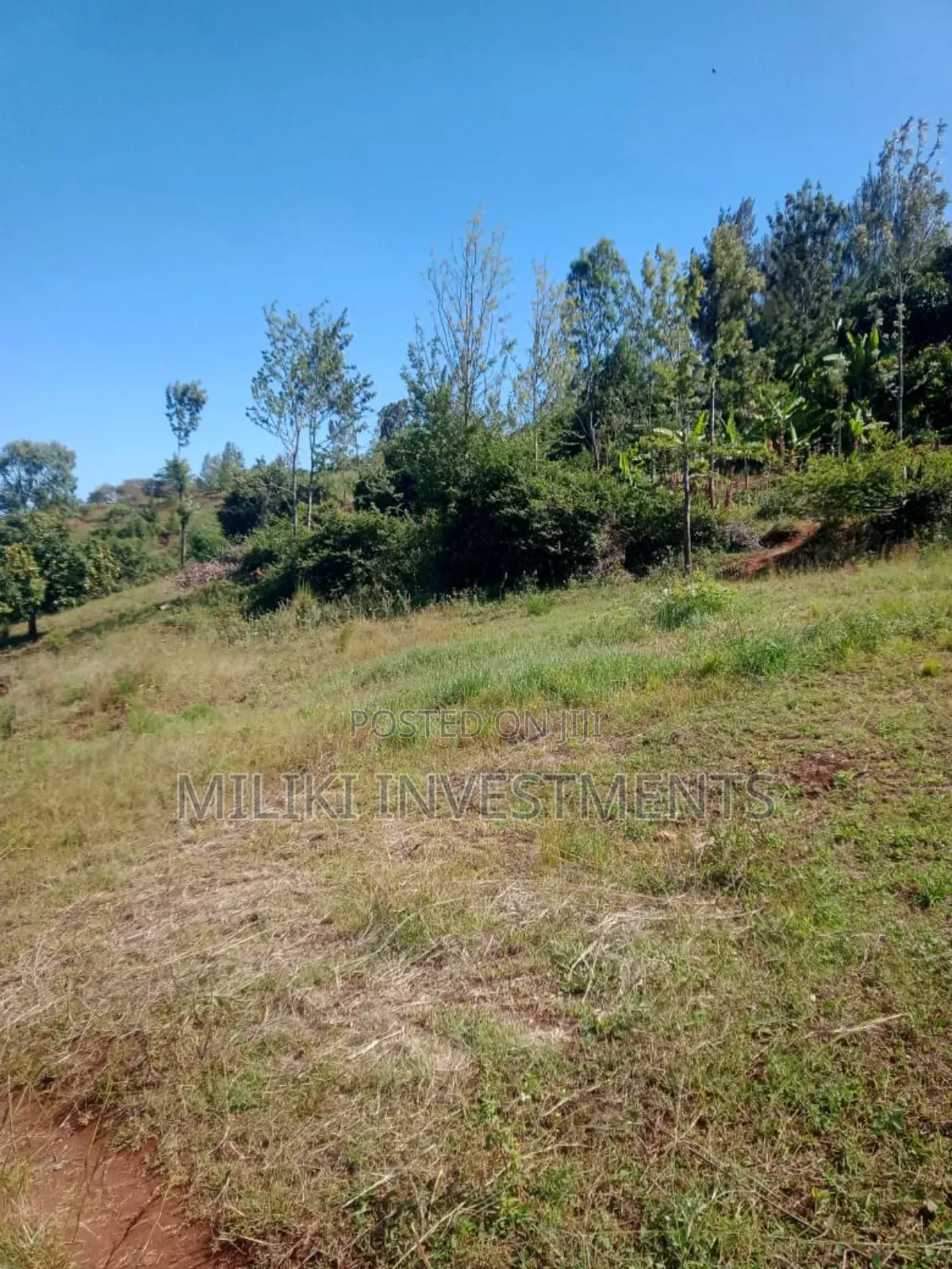5.5 Acres on Sale at Kenol -Karugia