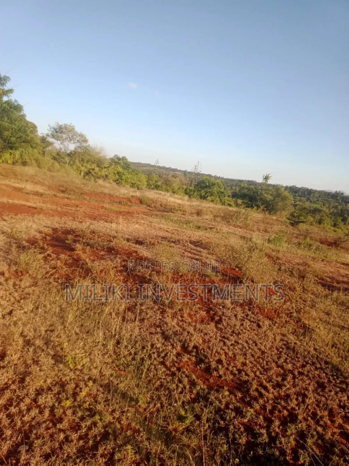 5.5 Acres on Sale at Kenol -Karugia