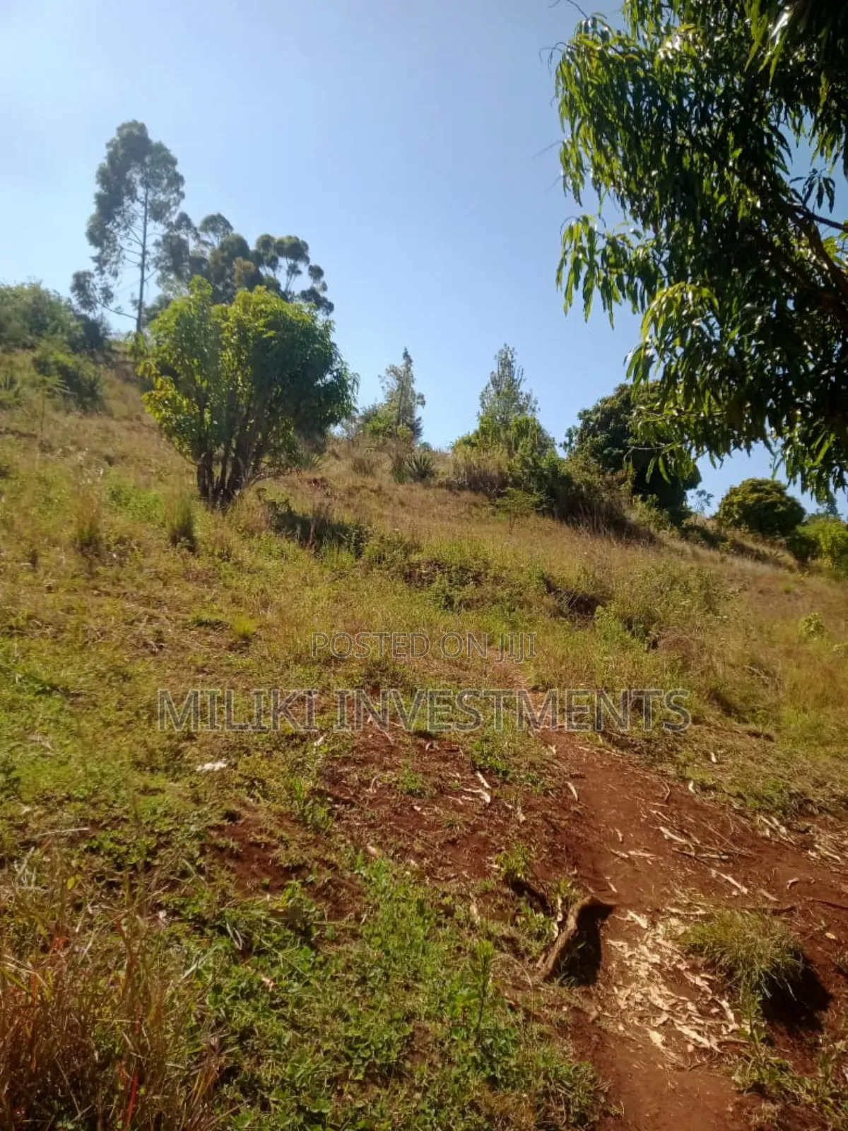 5.5 Acres on Sale at Kenol -Karugia
