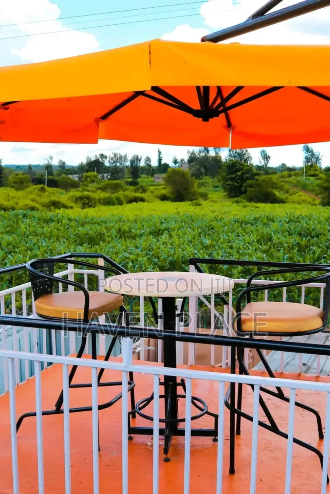 Lakeview Cottages and Airbnbs! Nestled