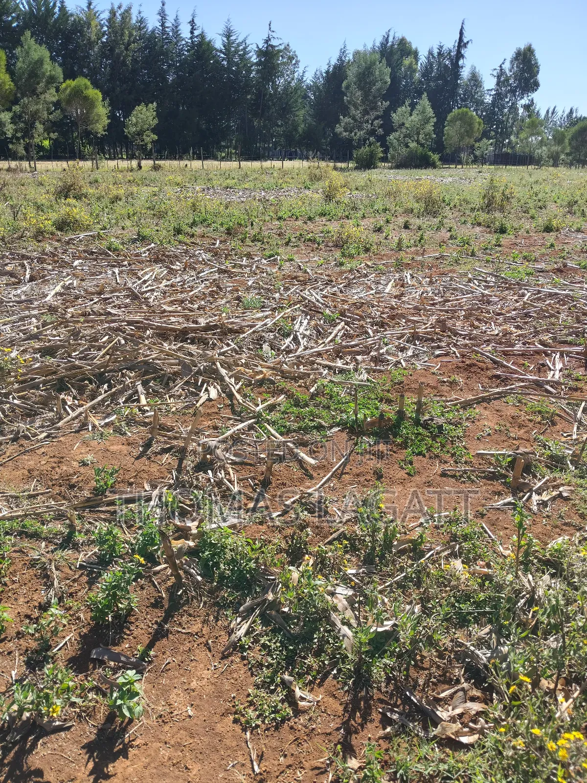 Eldoret Annex Bethel 1⁄4 Acre Plots