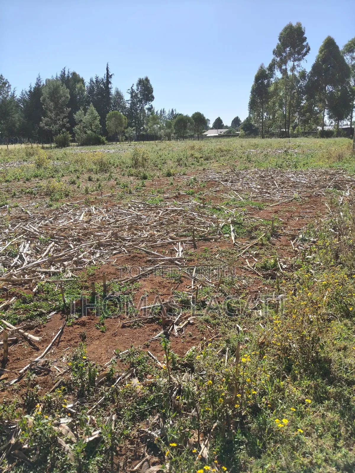 Eldoret Annex Bethel 1⁄4 Acre Plots