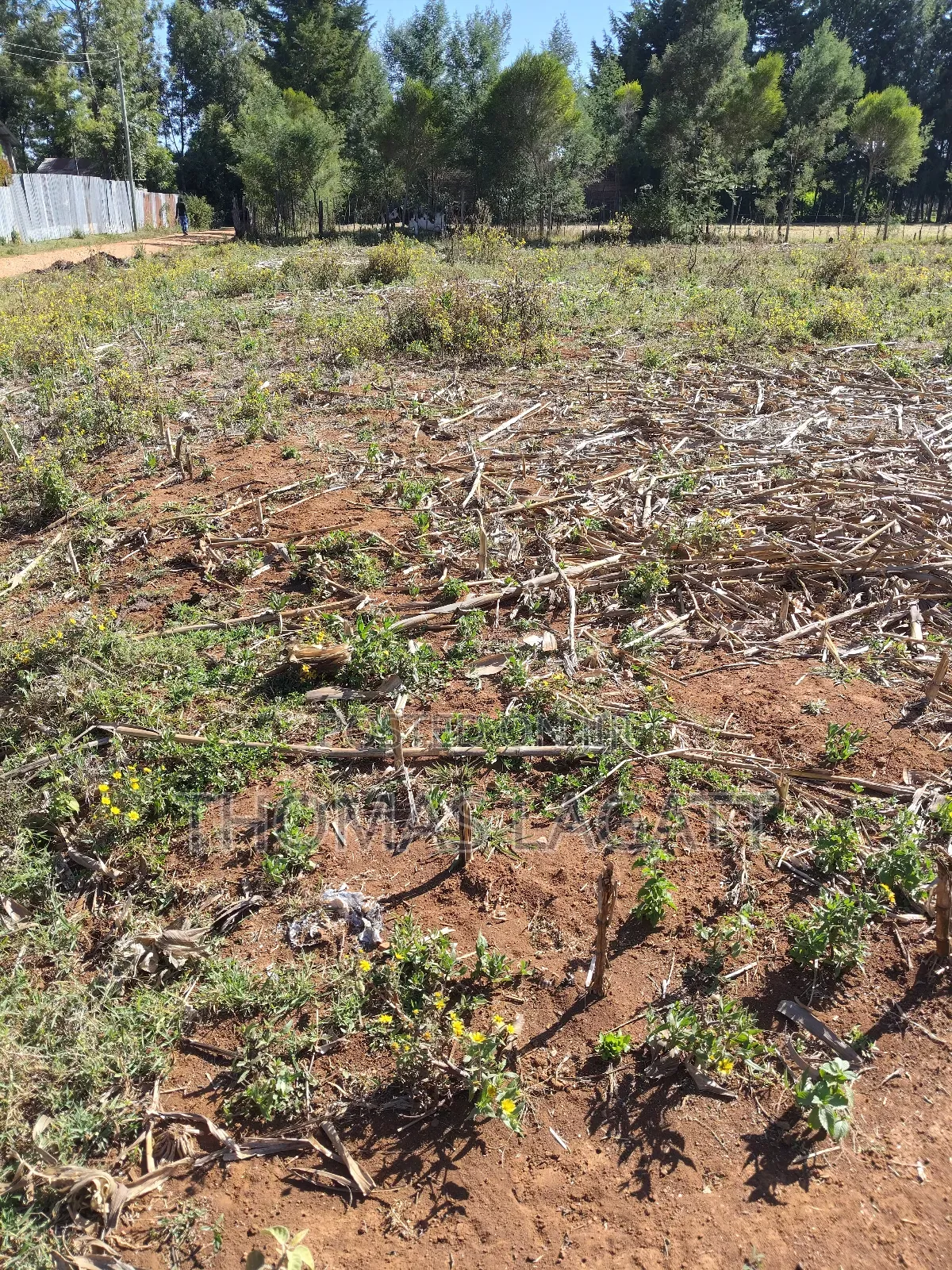 Eldoret Annex Bethel 1⁄4 Acre Plots