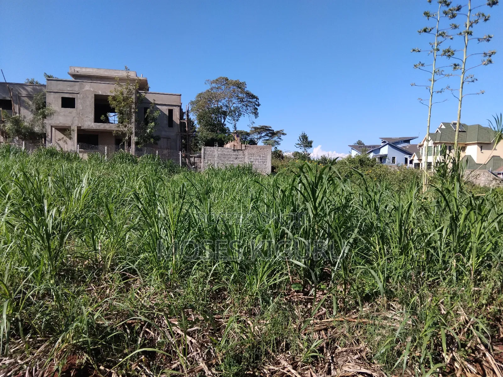 Githingiri, Thika Golf View Estate, 1/4 Plot for Sale