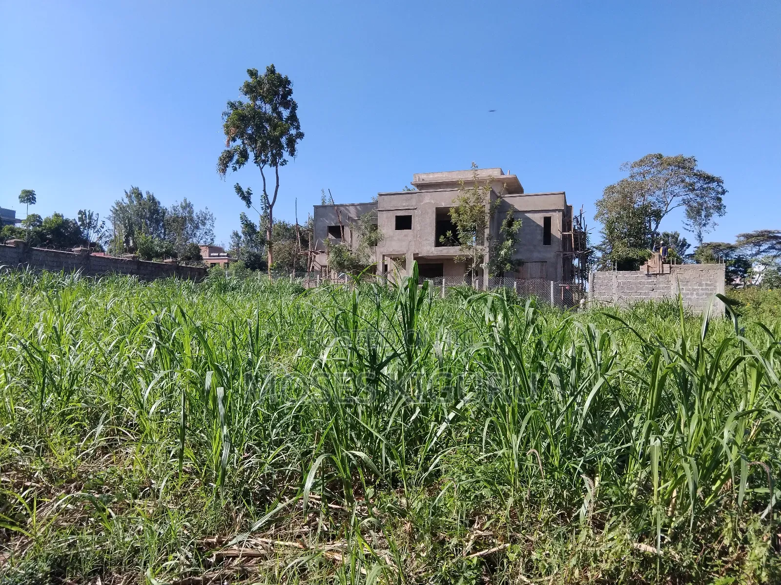 Githingiri, Thika Golf View Estate, 1/4 Plot for Sale