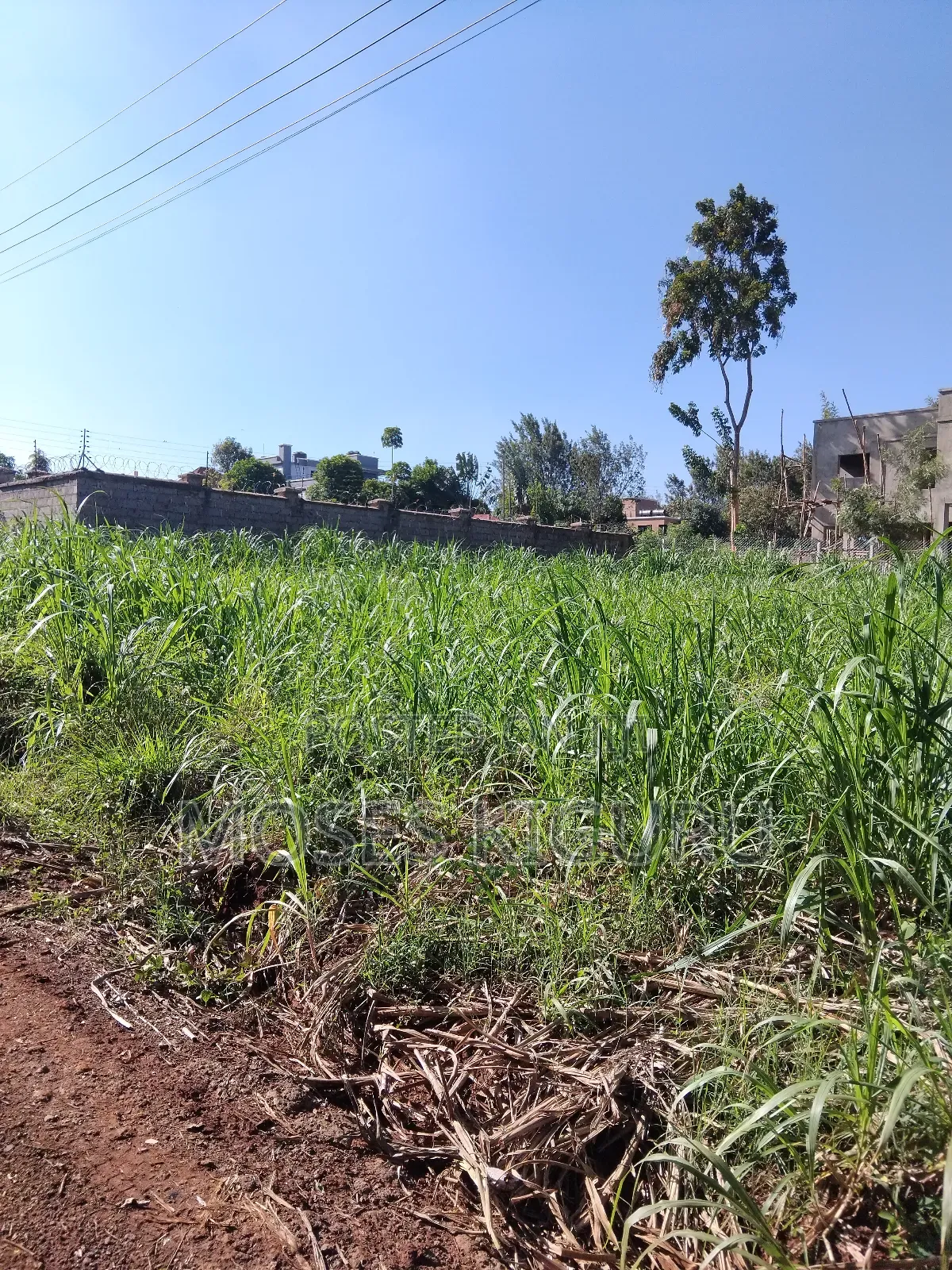Githingiri, Thika Golf View Estate, 1/4 Plot for Sale