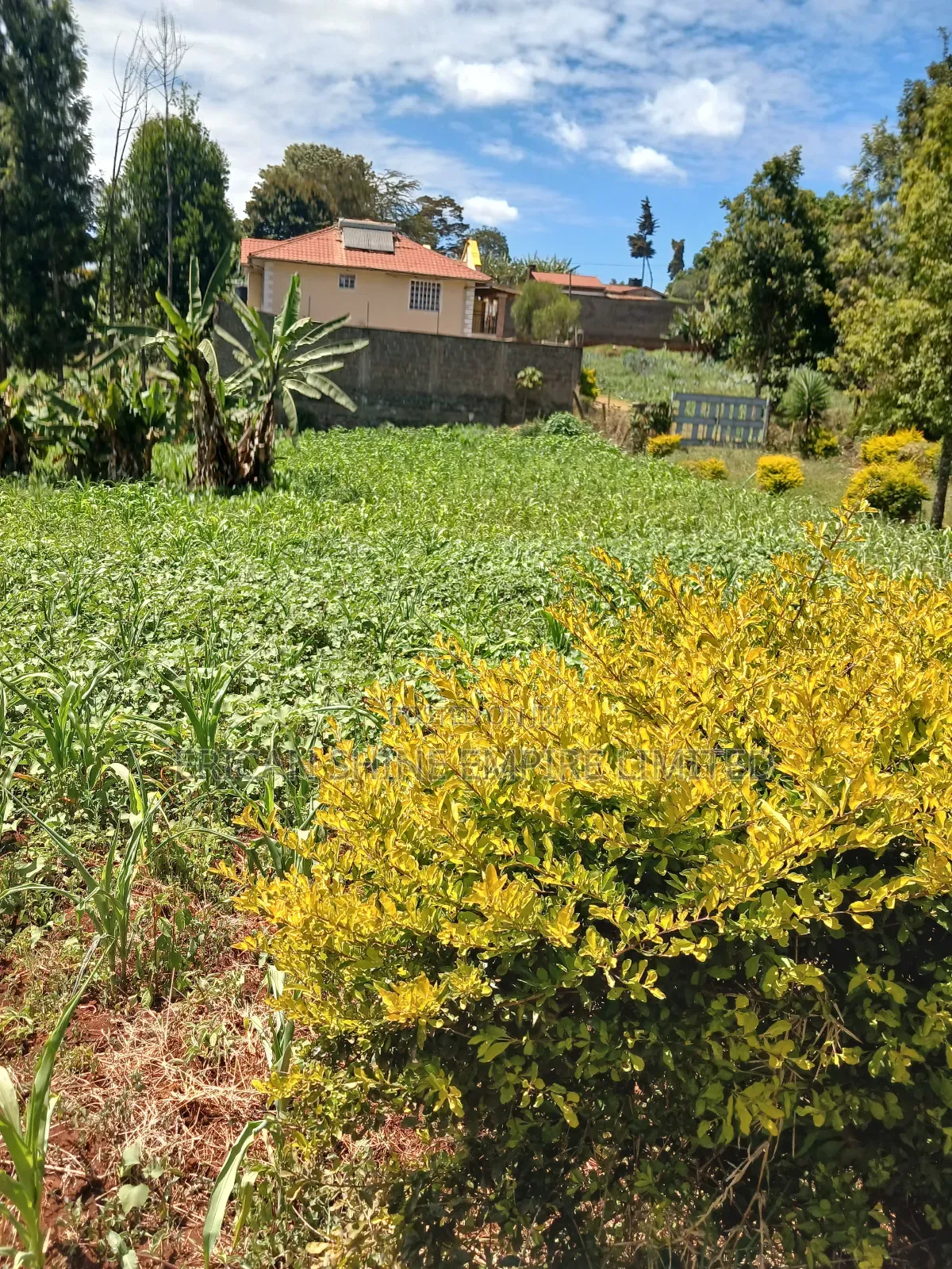 Property for Sale in Muthiga Wambaa Road