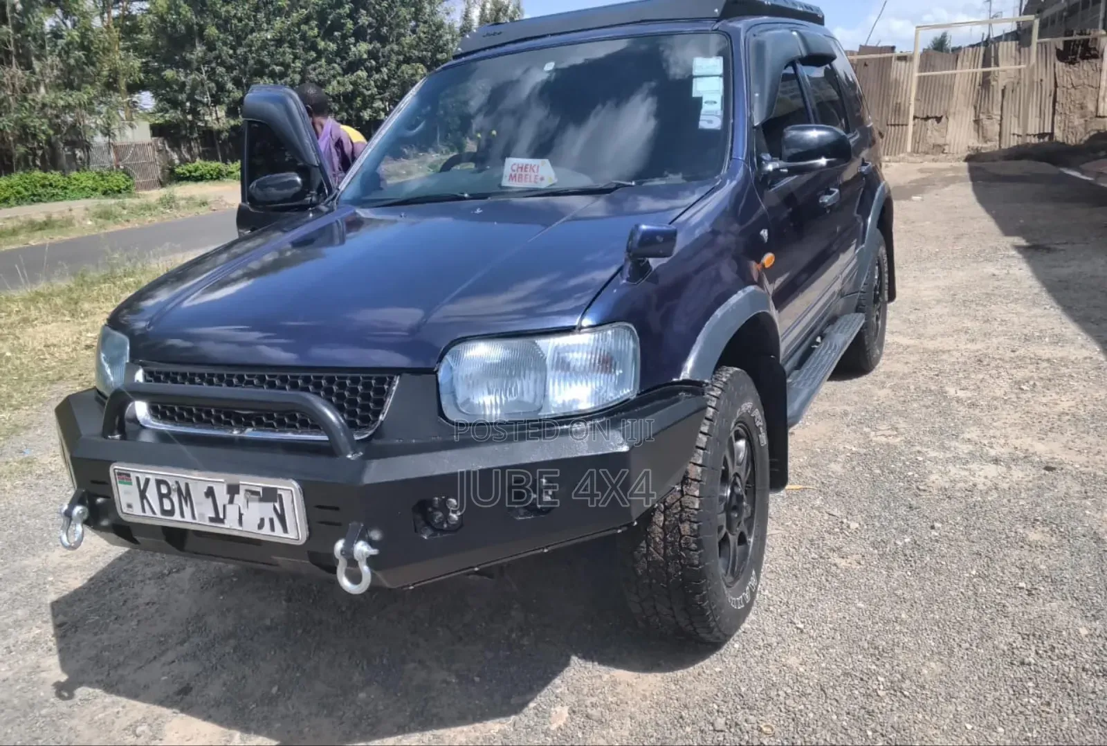 Ford Escape Bullbar