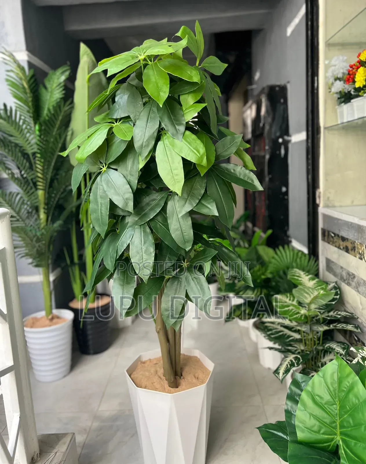 180cm Artificial Mango Plant With Decorative Plastic Vase Pebbles