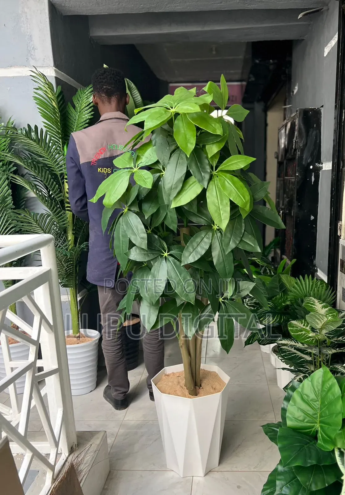 180cm Artificial Mango Plant With Decorative Plastic Vase Pebbles