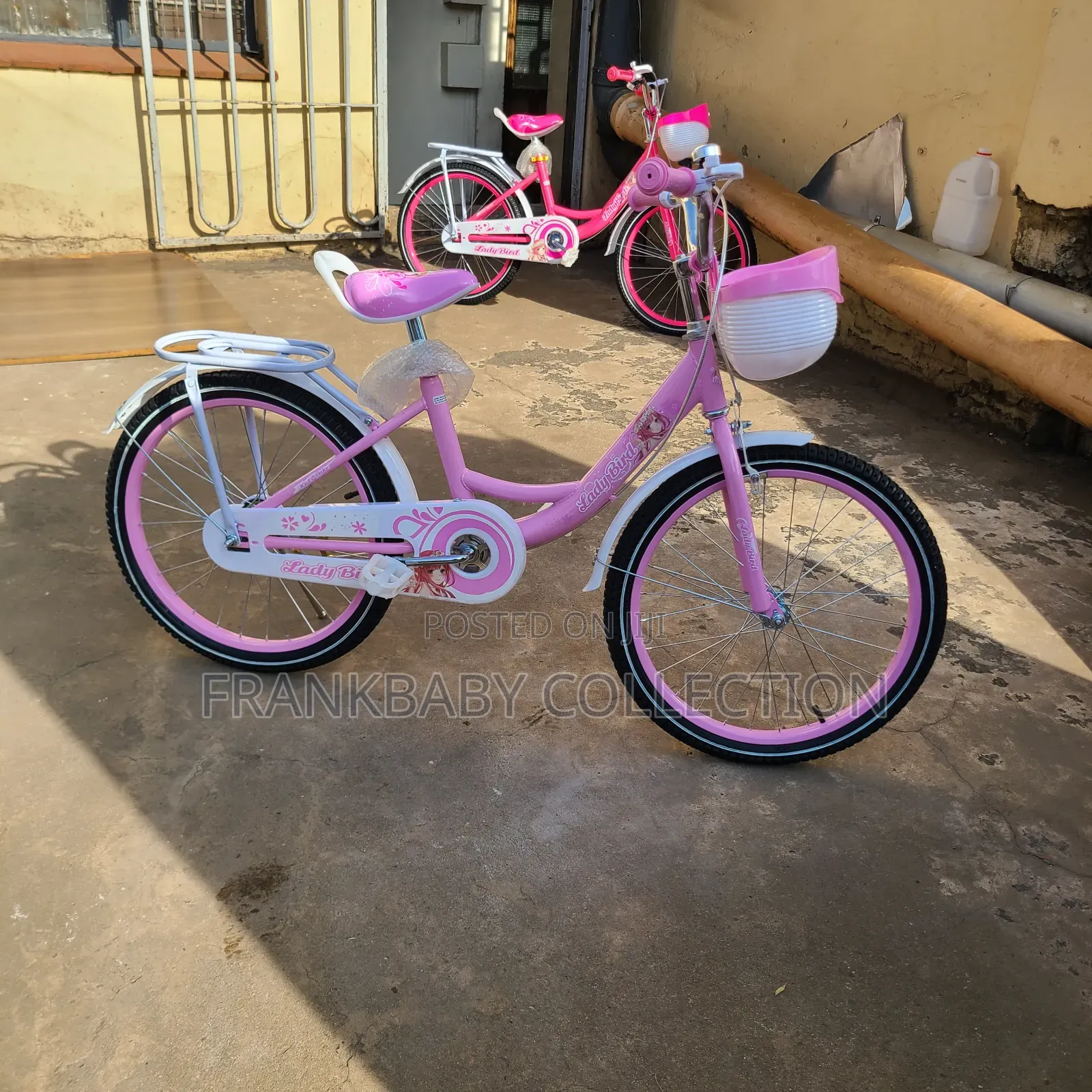 Lady Bird Fashion Girls Bicycle/Bike