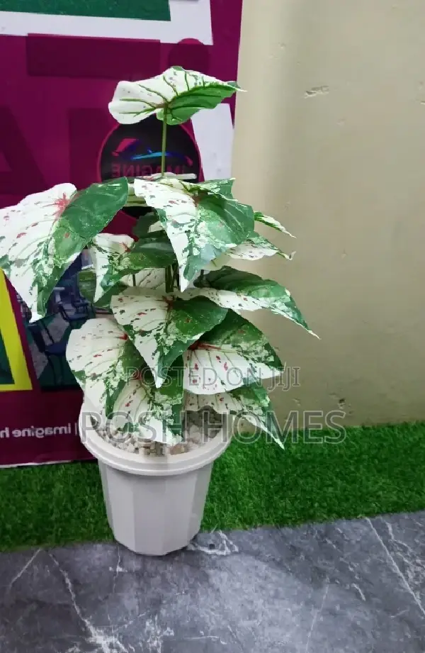 Decorative Artificial Plants