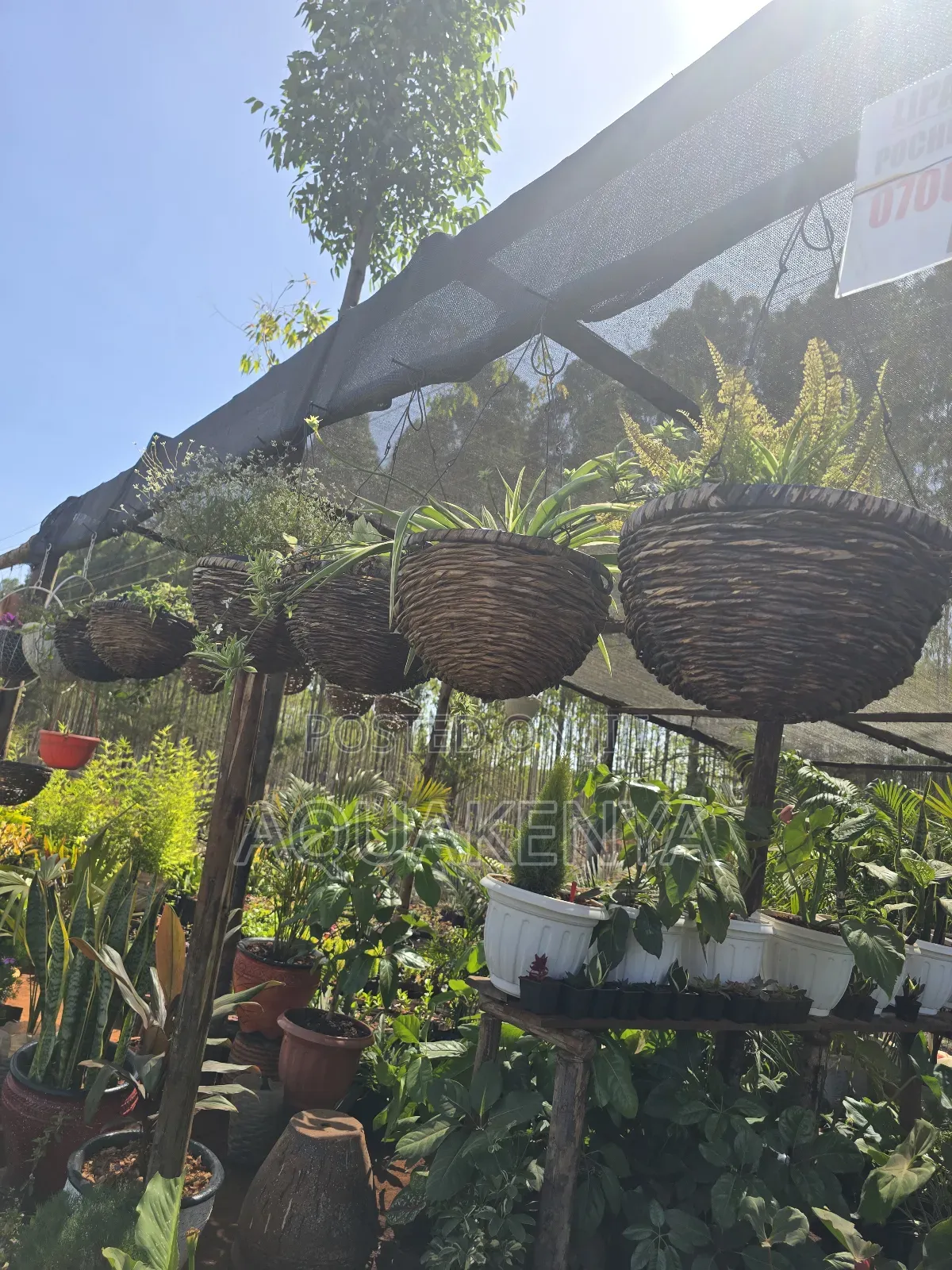 Hanging Flowers With Baskets