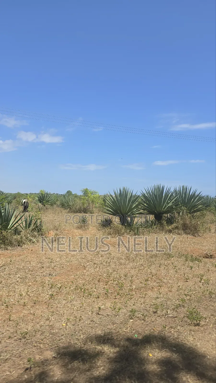 1acres Commercial Land Vipingo for Sale