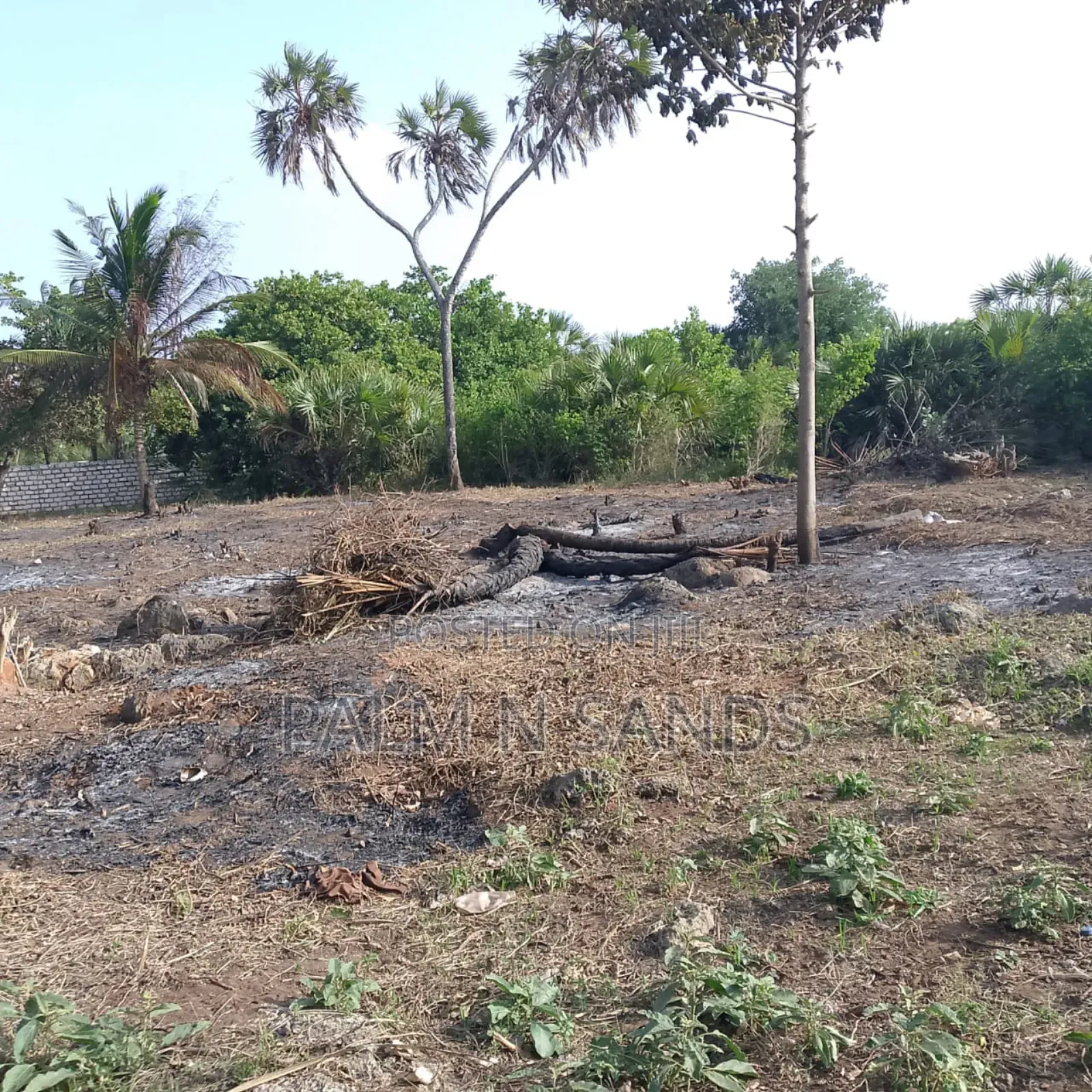 1/4 Acre Near Mekaela School Diani
