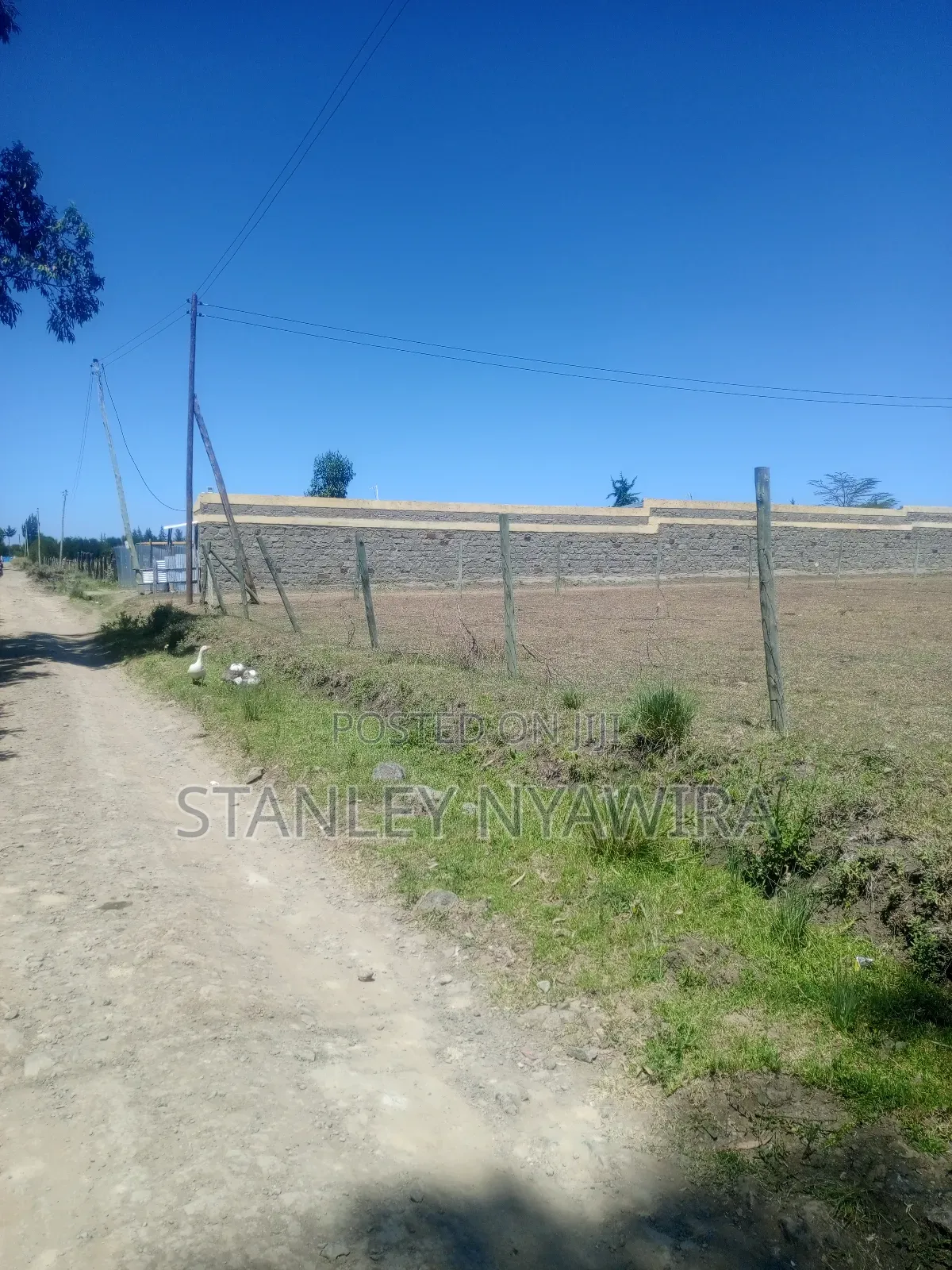 One Acre Nanyuki