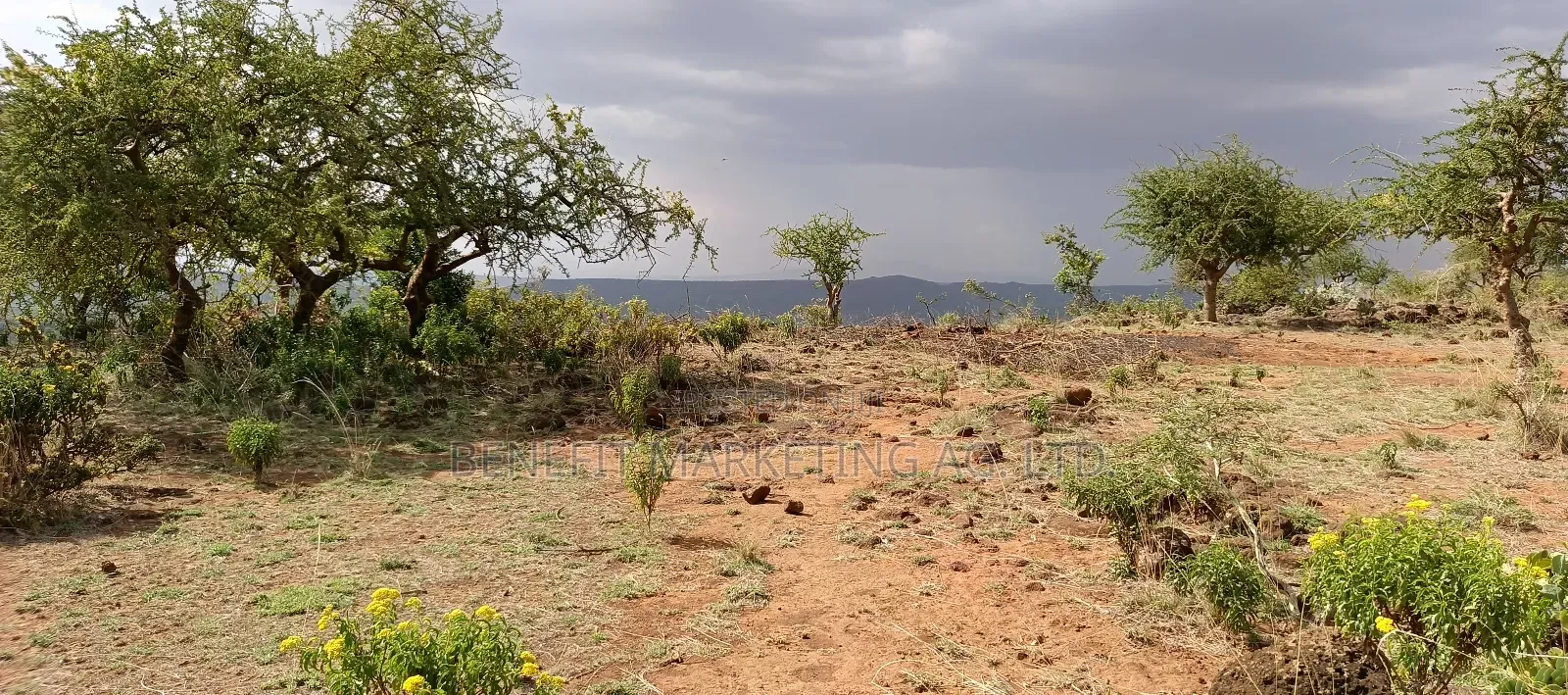 One Acre Cliff Plot With Scenic Views in Ngong Kimuka
