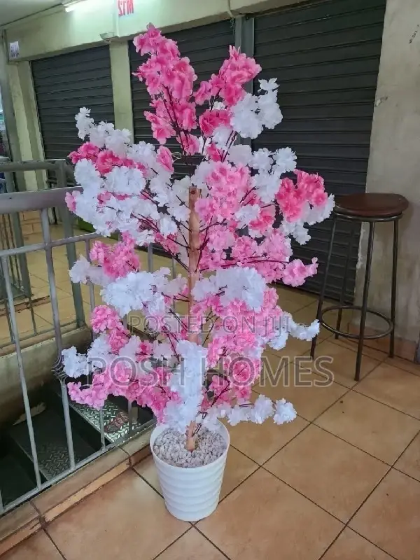 Cherry Decorative Home Plants