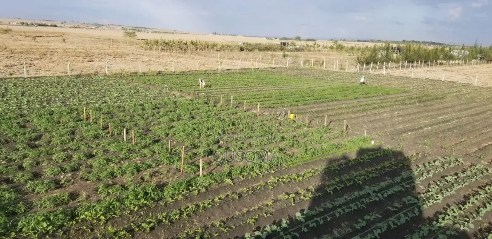 150 Acres Industrial Land – Isinya (Subdivide Flip for Millions!)
