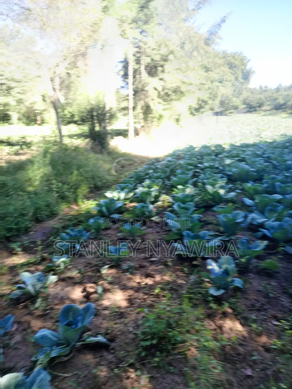 4.5 Acrea Nanyuki Fronting River
