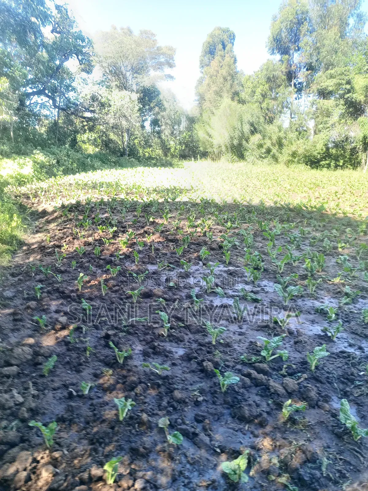4.5 Acrea Nanyuki Fronting River