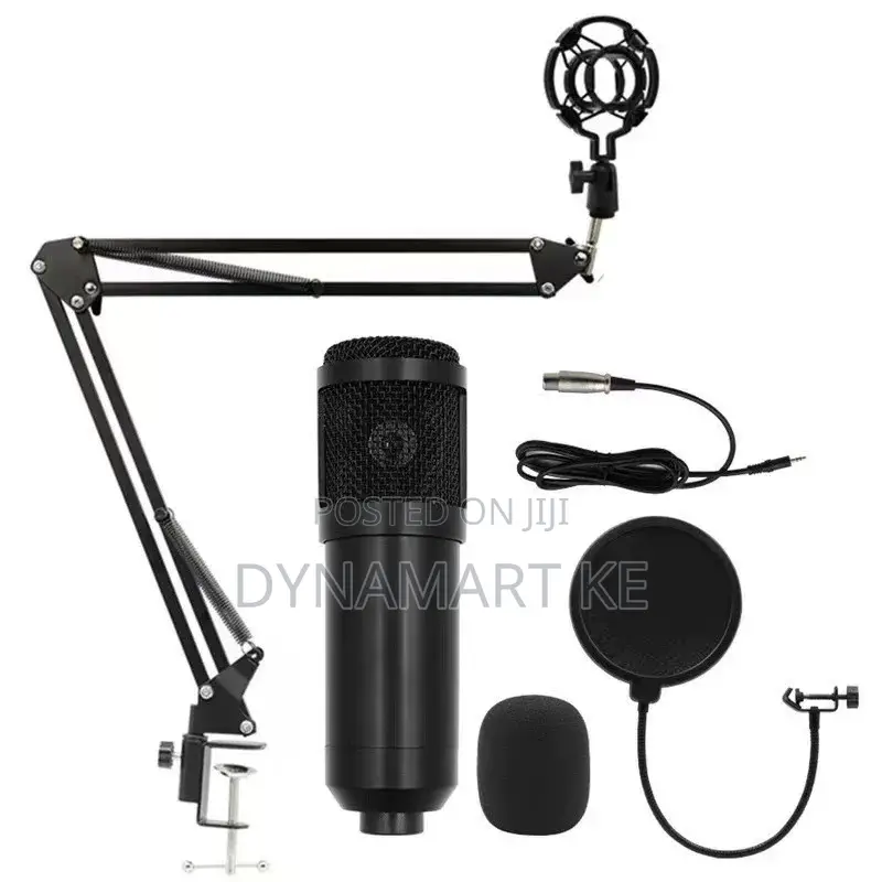 Bm800 Condenser Microphone + Metallic Stand for Recording Studio