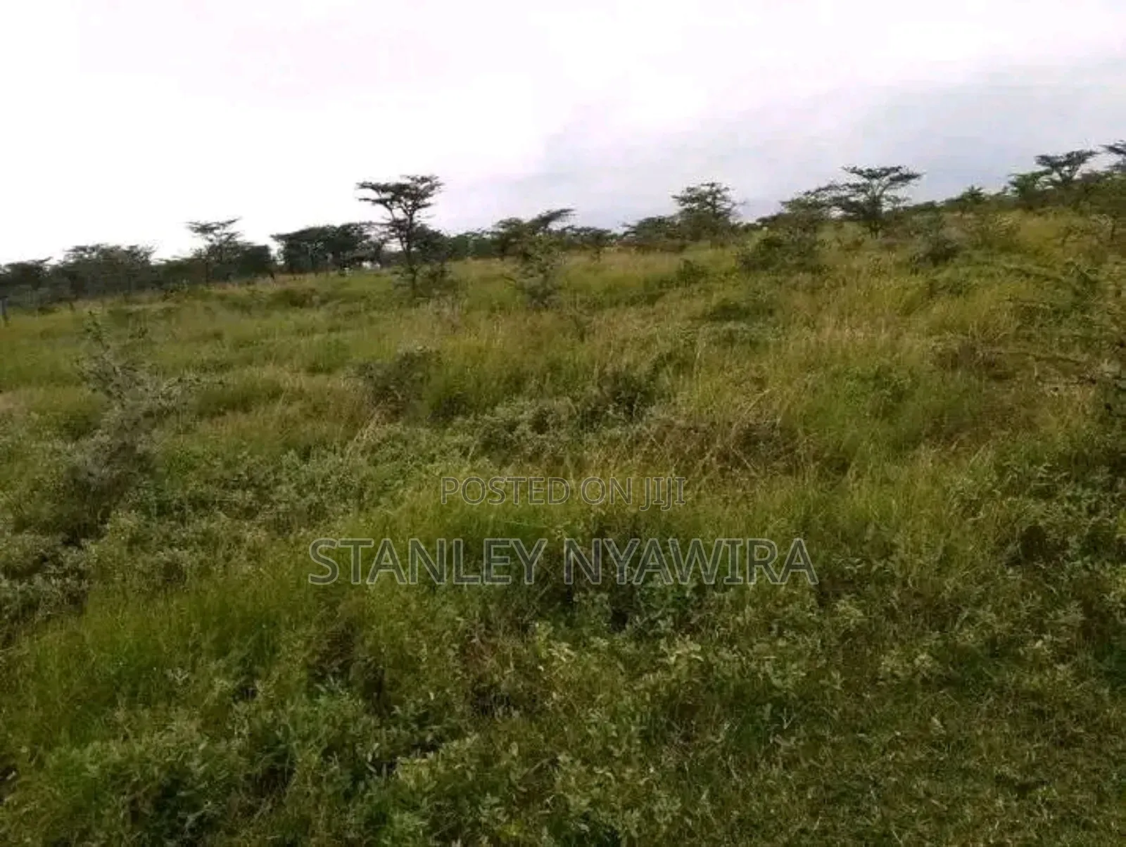 8 Acreas Gobit Munyaka