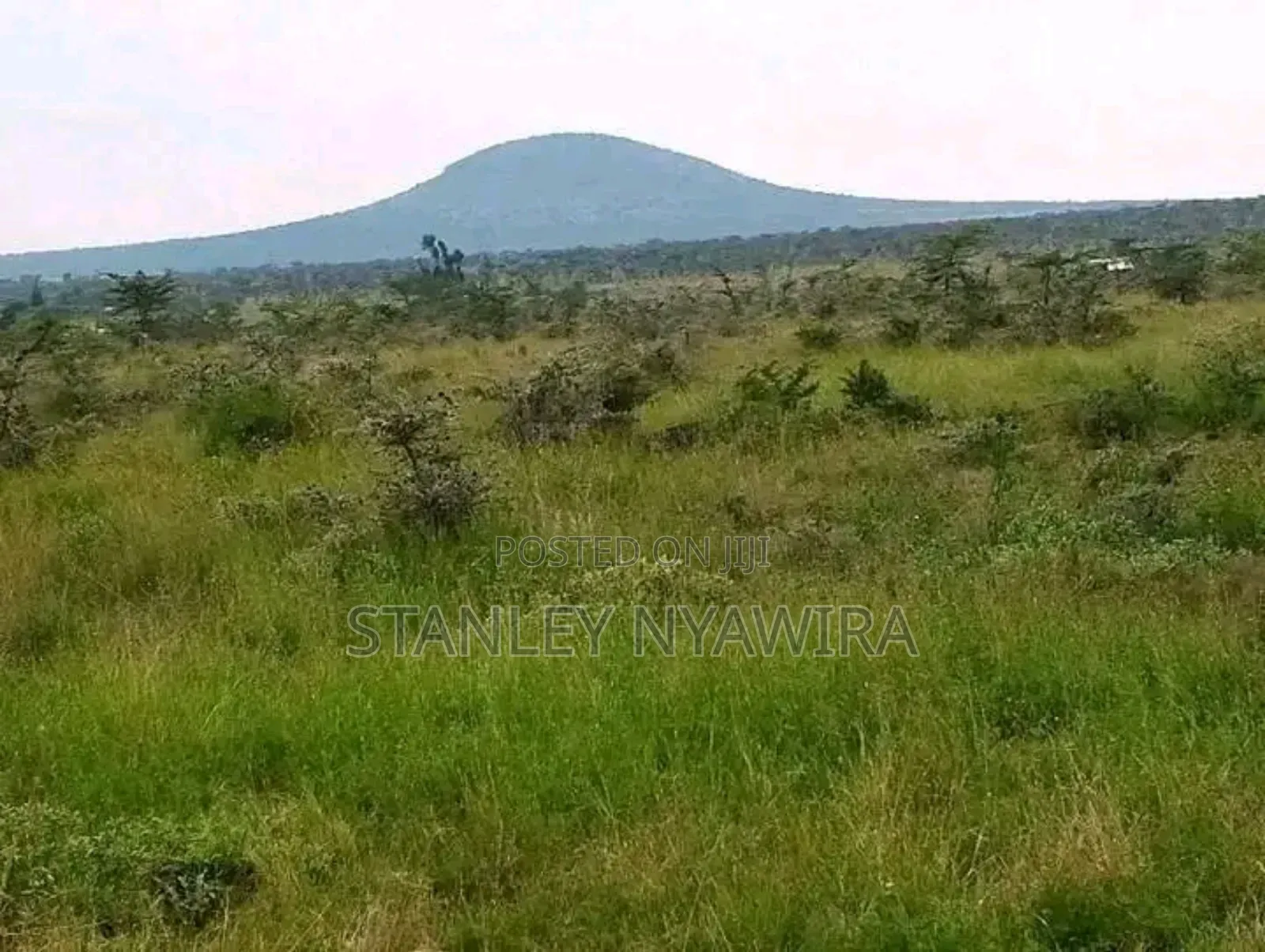 8 Acreas Gobit Munyaka