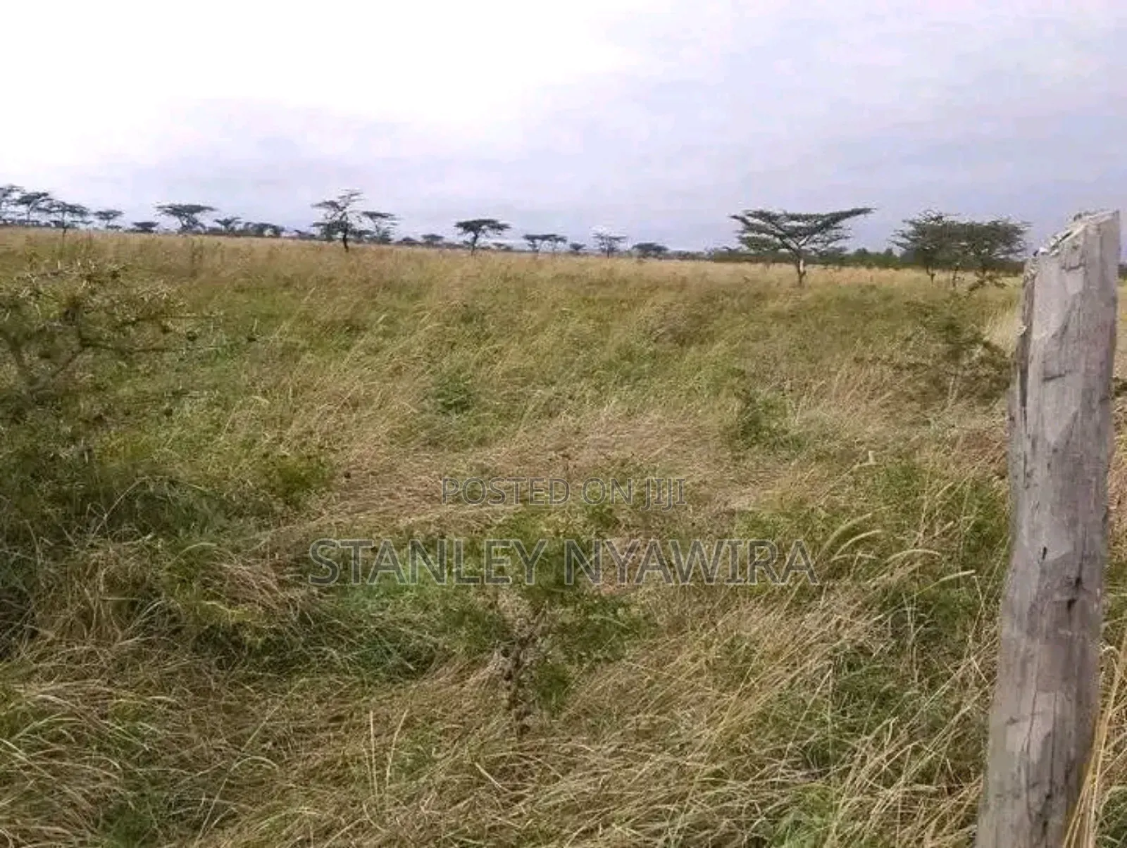8 Acreas Gobit Munyaka