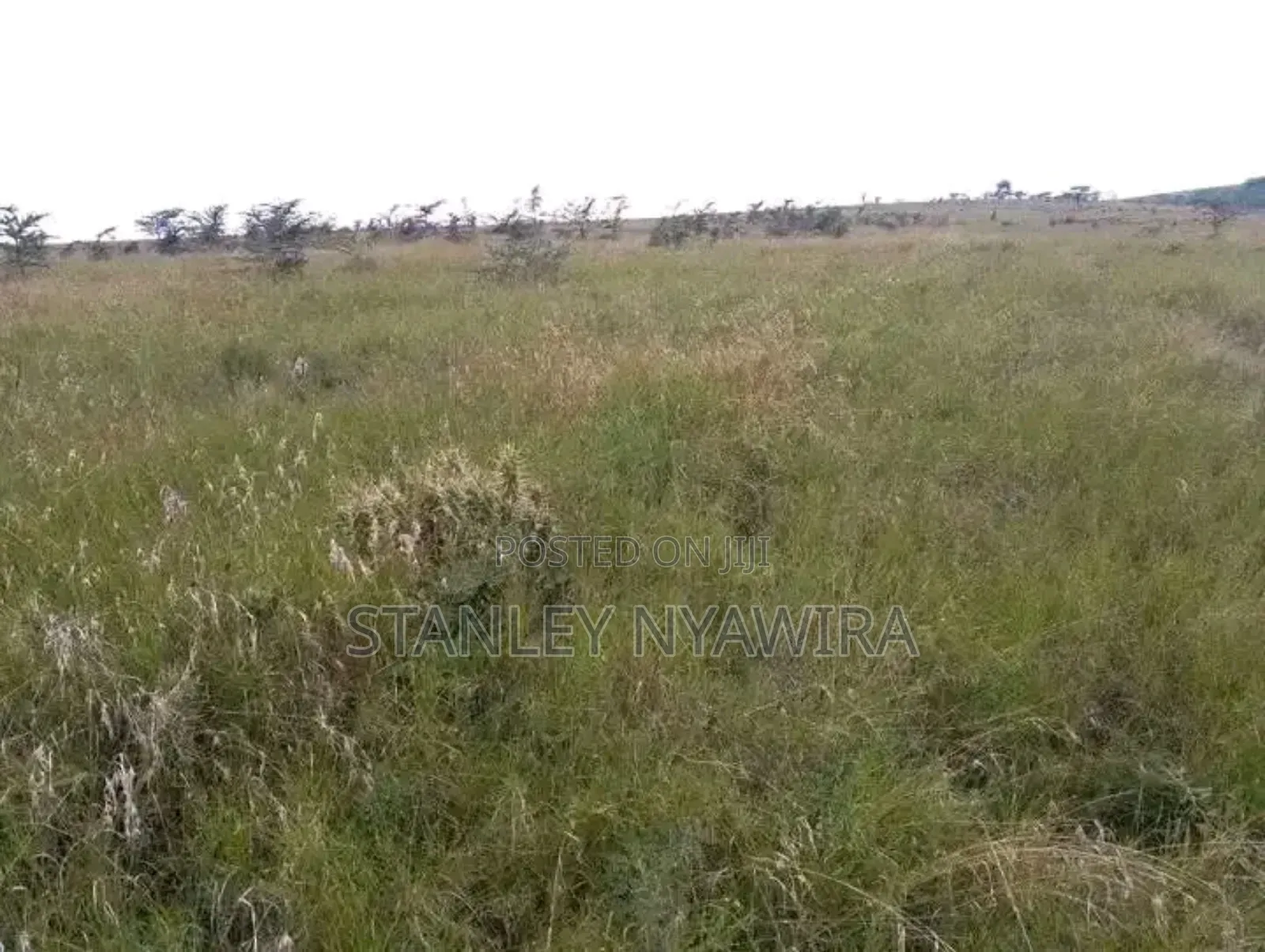 8 Acreas Gobit Munyaka