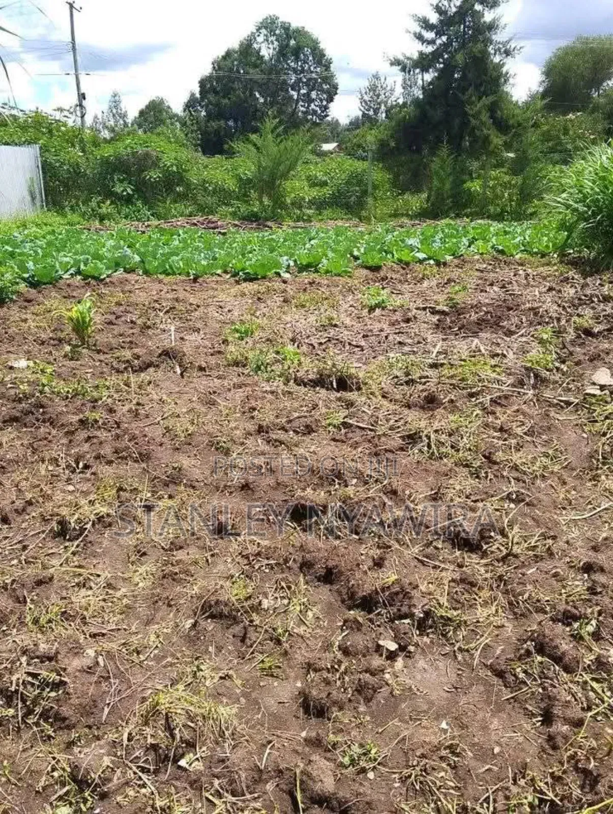 2 Acres Nanyuki for Farming