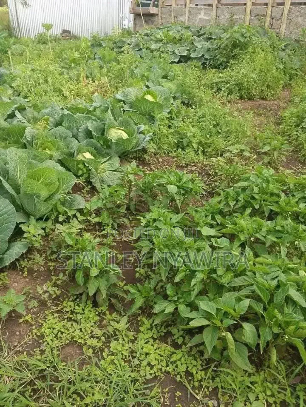 2 Acres Nanyuki for Farming