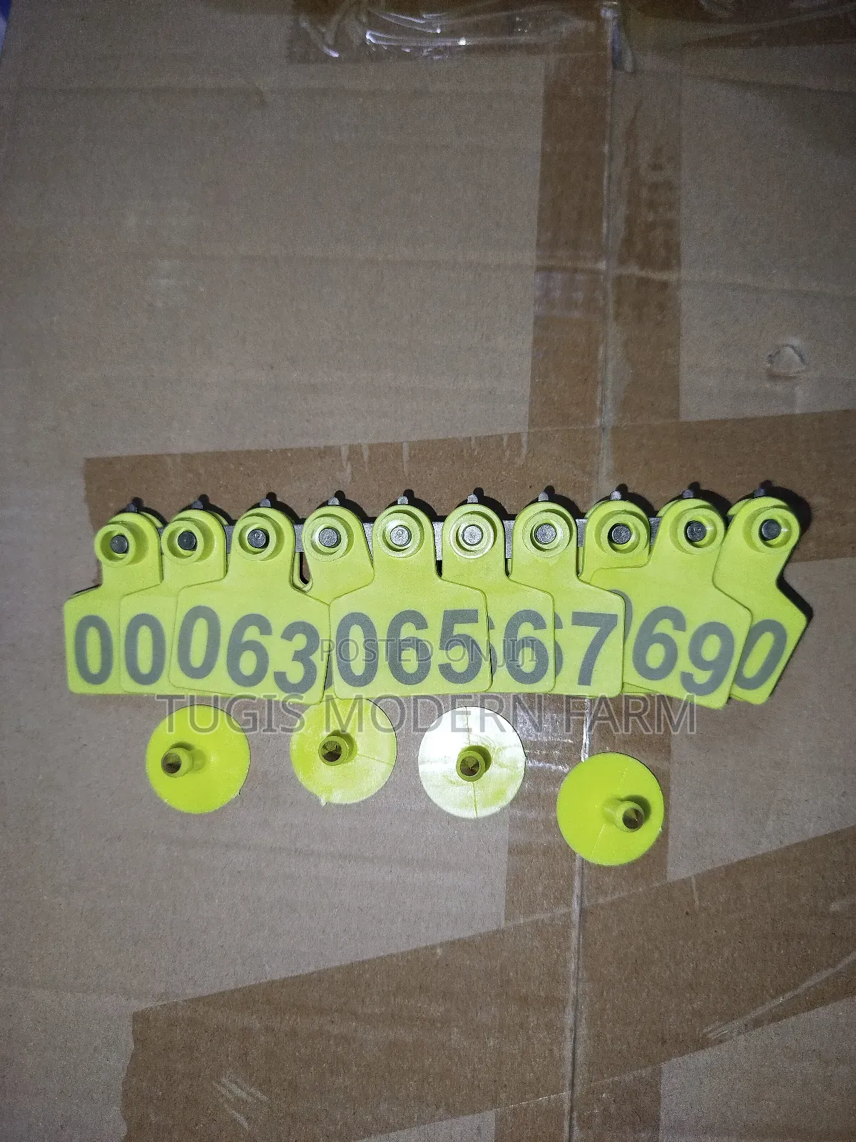 100 PCS Ear Tags for Goats and Pig and Cows