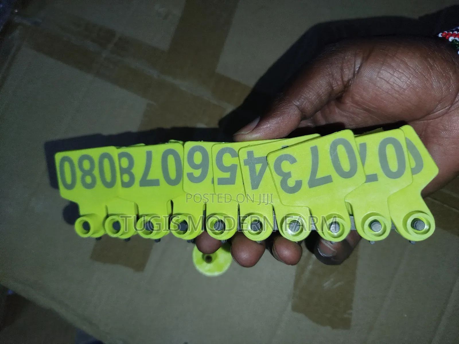 100 PCS Ear Tags for Goats and Pig and Cows