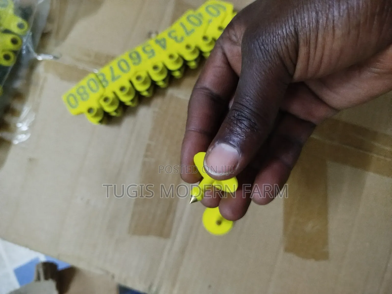 100 PCS Ear Tags for Goats and Pig and Cows