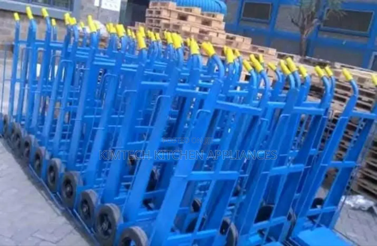 Standard Luggage Trolley