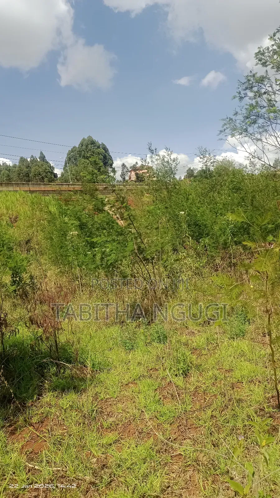 1/2 Acre Ngong Town
