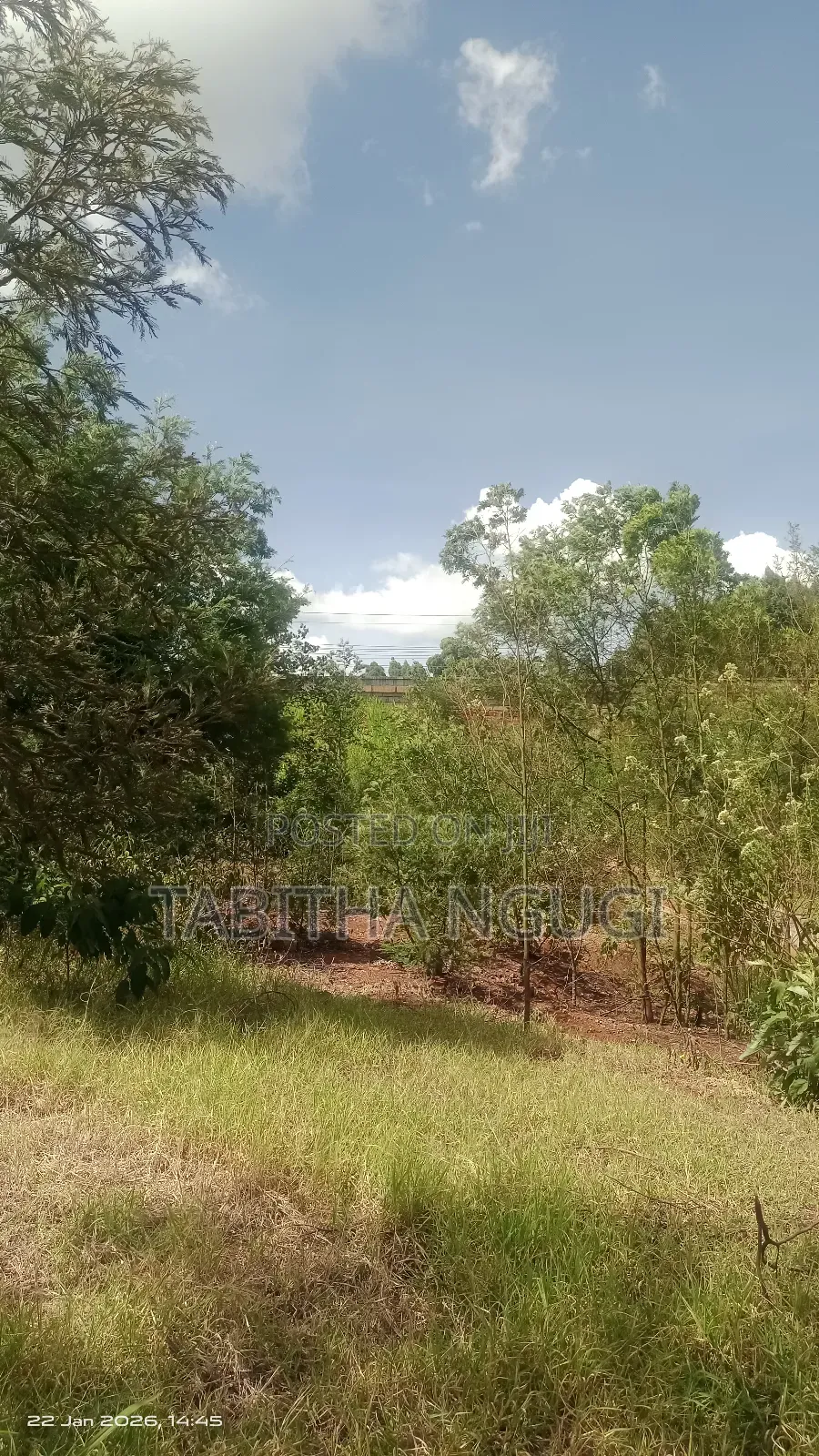 1/2 Acre Ngong Town