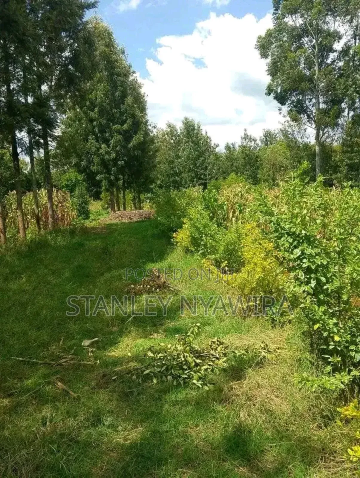2 Acres Fronting River in Nanyuki for Sale