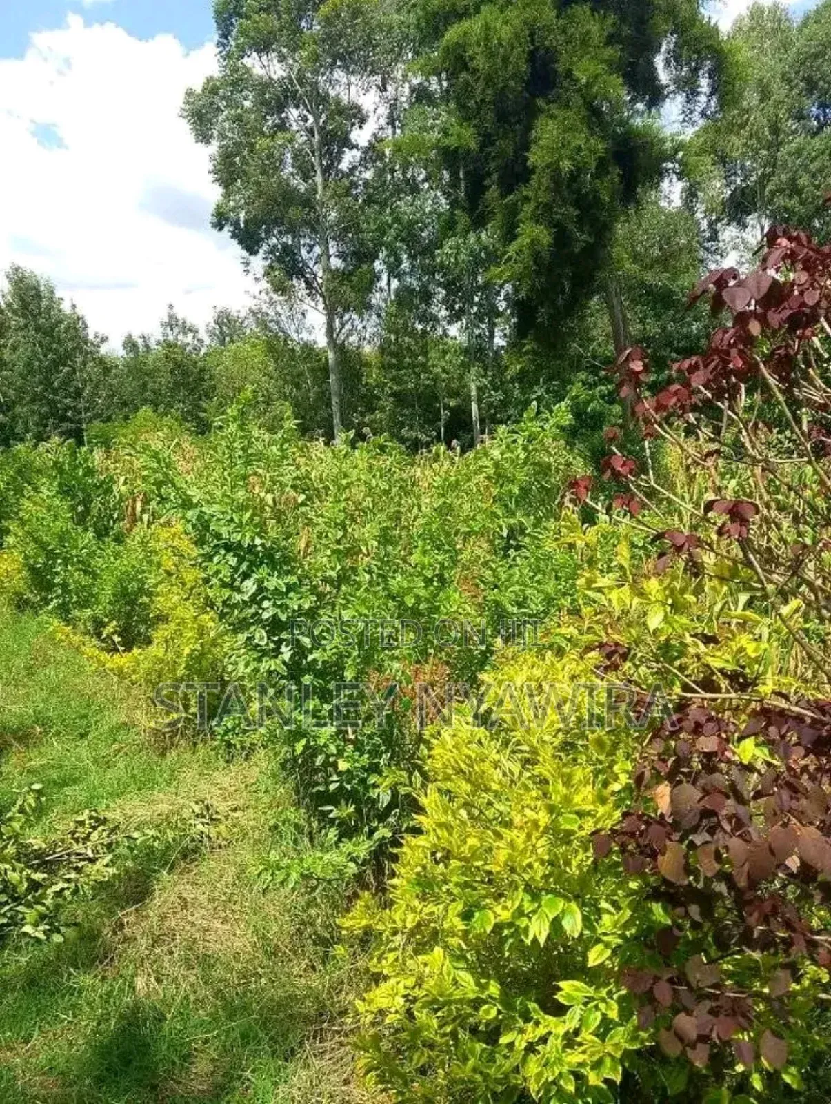 2 Acres Fronting River in Nanyuki for Sale